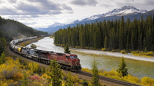 red and black train, train, freight train, diesel locomotive, river HD wallpaper