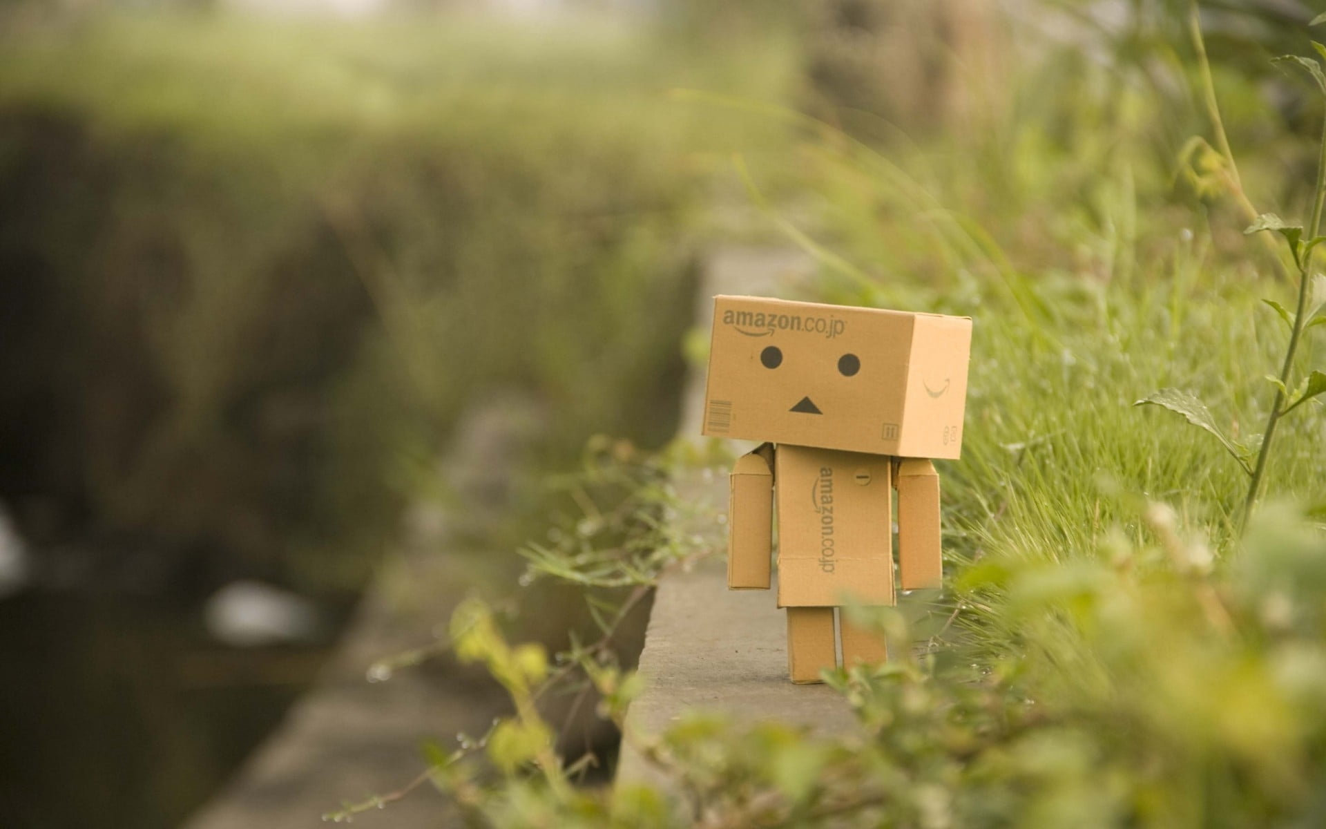 brown Amazon cardboard box in human form close-up photography