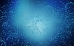 macro photography of blue bubbles
