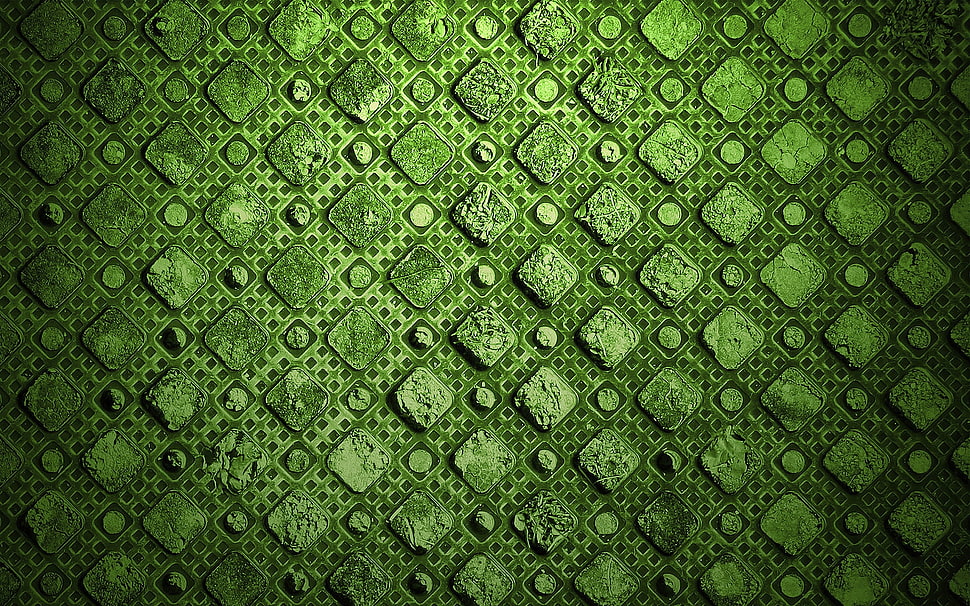 green wallpaper HD wallpaper