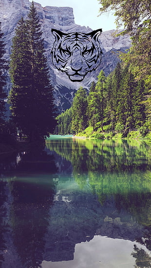 pine trees, landscape, lake, mountains, graphic design HD wallpaper