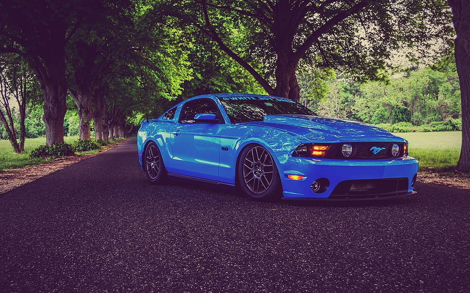 blue Ford Mustang, Ford Mustang, muscle cars, lowrider, tuning HD wallpaper