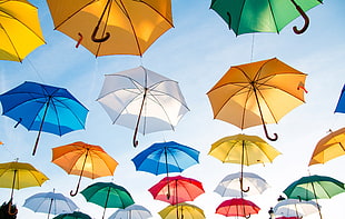 assorted umbrellas on blue sky