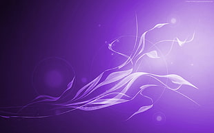 purple flower digital wallpaper