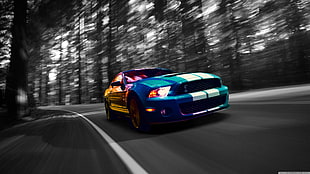 iridescent coupe, Shelby GT500, Ford Mustang Shelby