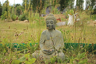 grey concrete Gautama Buddha statue in the garden during daytime HD wallpaper