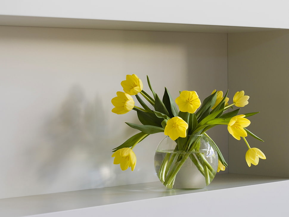 yellow flowers HD wallpaper