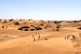 people and settlement on desert, camels