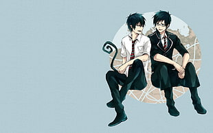 Blue Exorcist anime poster, Okumura Yukio, Okumura Rin, tail, glasses