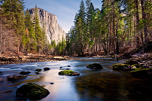 time lapse photography of flowing water in between tall trees with distance at rocky hill under blue sky, merced river