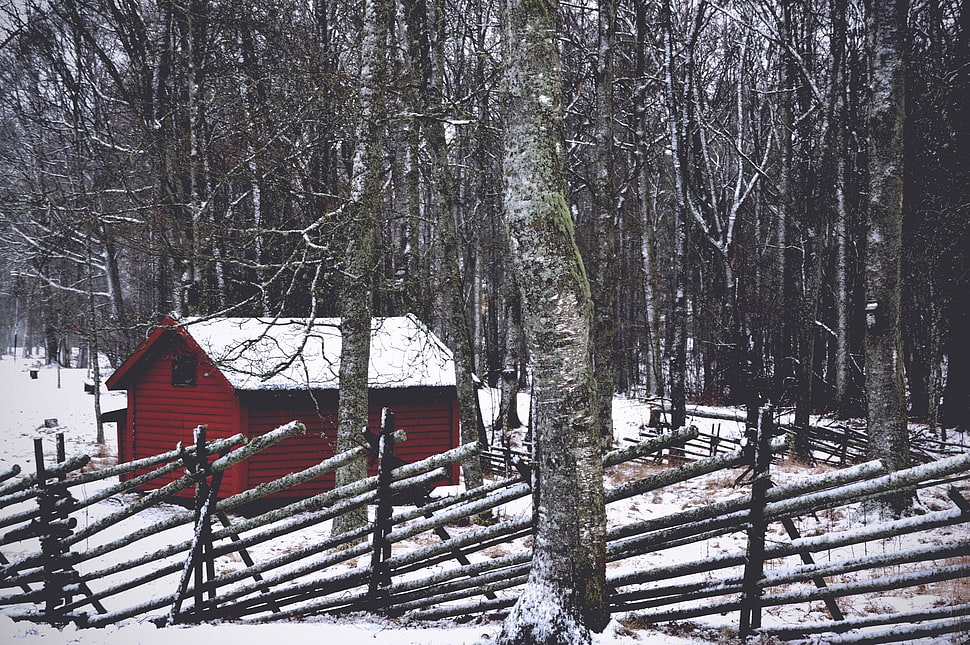 red wooden shack, Structure, Forest, Trees HD wallpaper