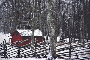 red wooden shack, Structure, Forest, Trees