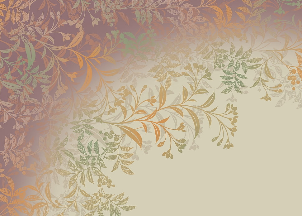 white and brown floral digital wallpaper HD wallpaper