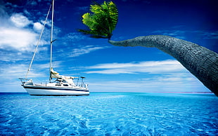 white yacht painting HD wallpaper
