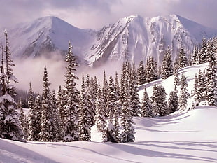 Winter,  Mountains,  Snow,  Shadows