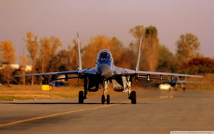 black fighter jet, warplanes, Mikoyan MiG-29, military aircraft, vehicle