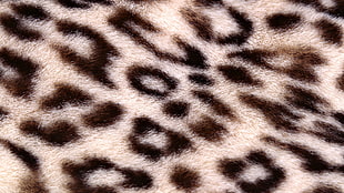 leopard-print textile