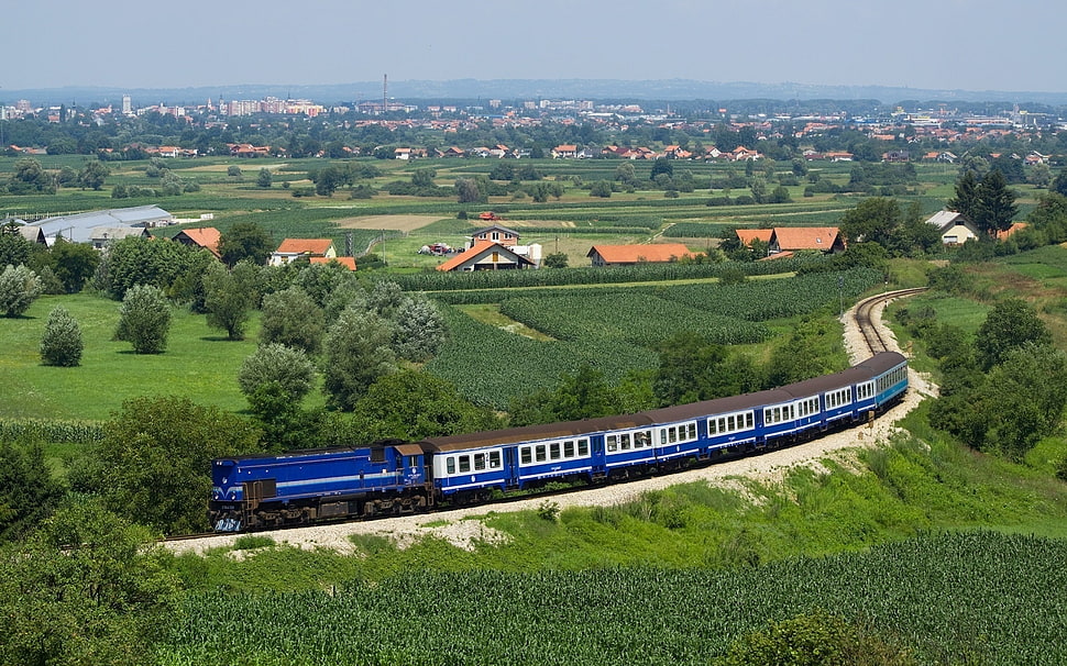 blue and gray train during daytime HD wallpaper