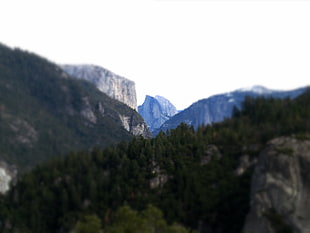 black and gray fur textile, California, landscape, Yosemite National Park HD wallpaper