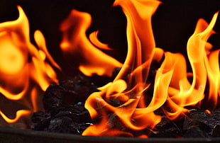 orange flames and charcoal close-up photography