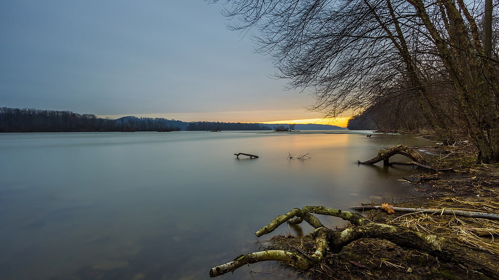 body of water surrounded with trees HD wallpaper