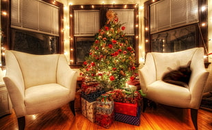Christmas tree between two sofa chairs inside room