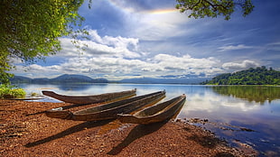 three brown wooden canoes, nature