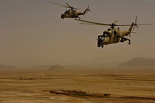 two gray helicopters