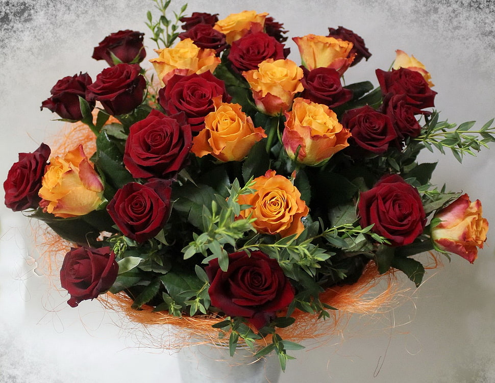 bouquet of orange and red roses HD wallpaper