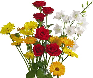 red, white, and yellow floral decoration