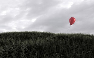 red balloon floating above green grassland
