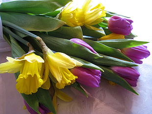 yellow and purple tulips bouquet