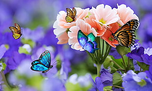 close-up photography butterflies in flight above petaled flowers