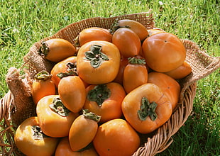 heirloom tomatoes in brown basket HD wallpaper
