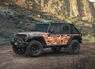 photo of black and brown wrangler during daytime