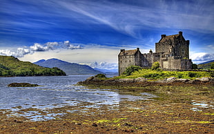 brown castle, castle, water, Scotland, Eilean Donan