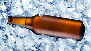 shallow focus photography of bottle on top of tube ice