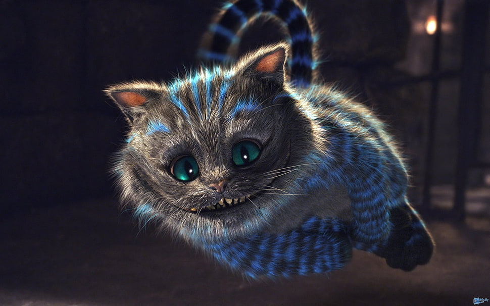 gray cat, Cheshire Cat, Alice in Wonderland, animals, fantasy art HD wallpaper