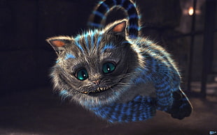 gray cat, Cheshire Cat, Alice in Wonderland, animals, fantasy art
