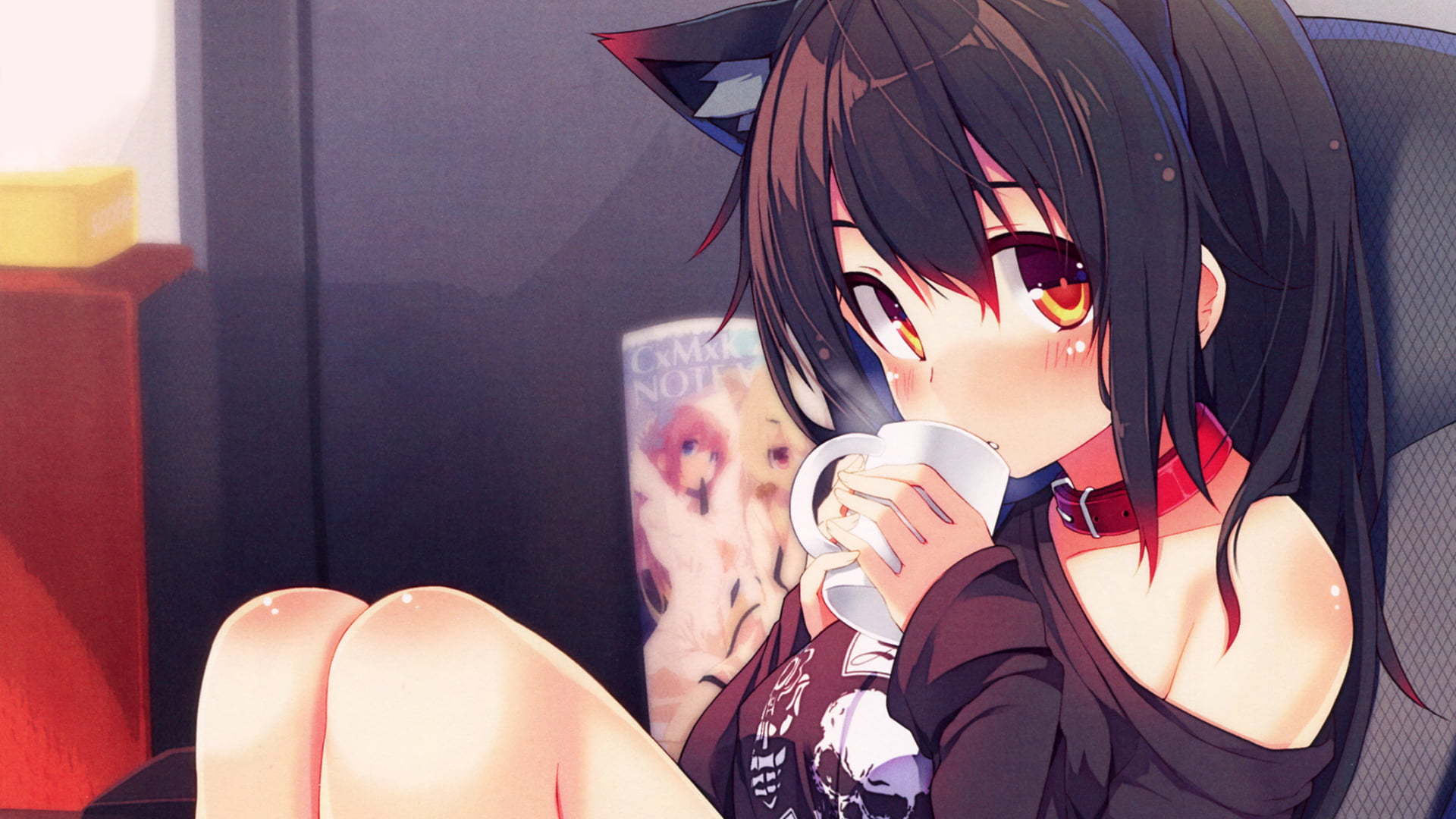 female anime character, nekomimi HD wallpaper.