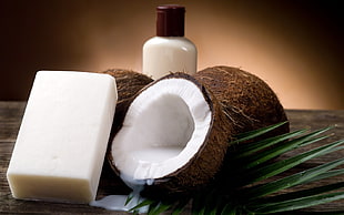 shallow focus photography of coconut