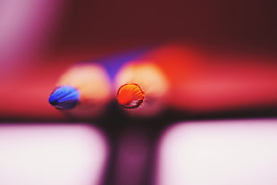 Colored pencils,  Point,  Sharpened,  Close-up
