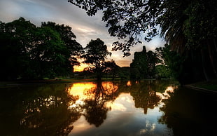 body of water near forest during daytime HD wallpaper
