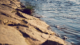 body of water, river, water, nature HD wallpaper