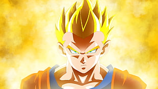 San Goku illustration HD wallpaper