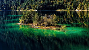 green leafed plants in the middle on lake, landscape, nature, lake, mountains