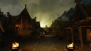 brown house painting, The Elder Scrolls V: Skyrim, video games