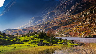 green grass filled mountains, mountains, landscape, water, river HD wallpaper