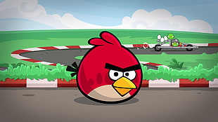 red Angry Bird illustration, Angry Birds