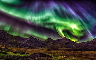 aurora lights, nature, landscape, aurorae, mountains HD wallpaper